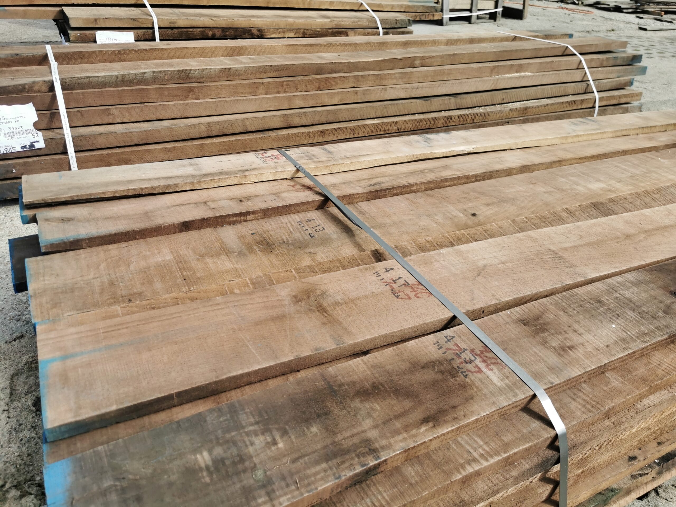 TARCICA EGZOTYCZA – Orzech Amerykański