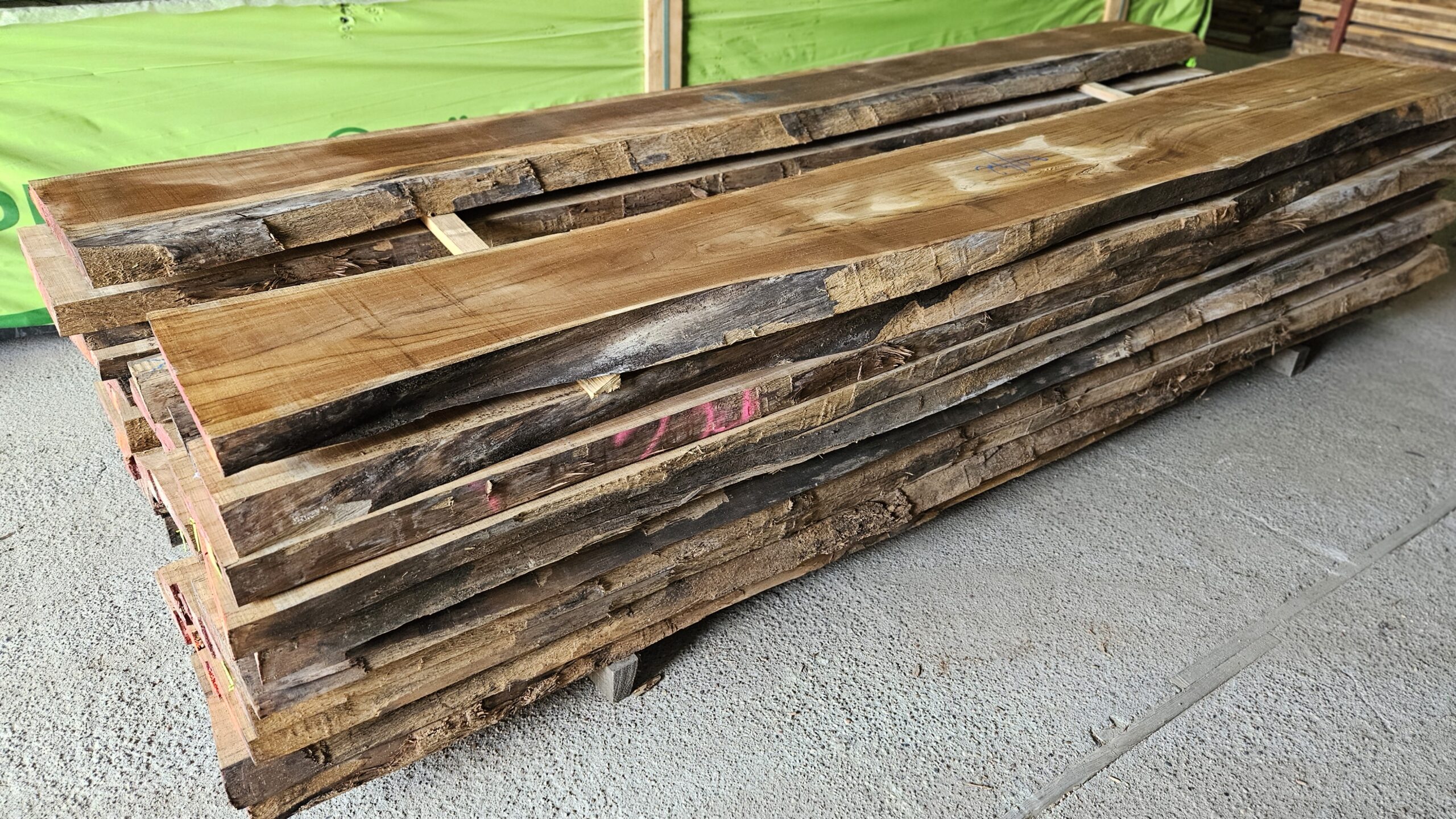 TEAK – TARCICA EGZOTYCZNA